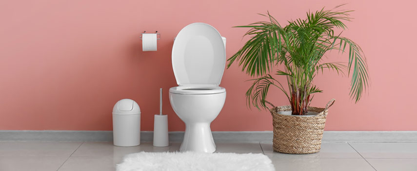 Access Clean Toilets with ToiletSeva Know How to Use Our App!