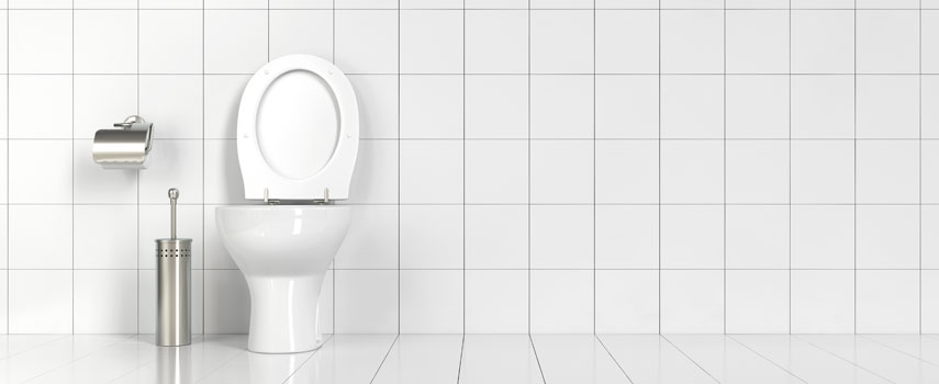 Access Clean Toilets with ToiletSeva Know How to Use Our App!